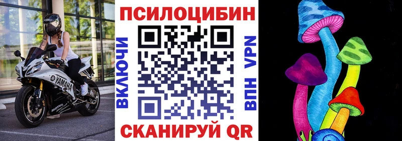 Псилоцибиновые грибы прущие грибы Слюдянка